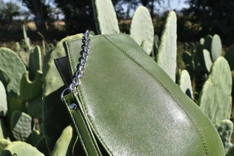 The story of two entreprneur, who extracted leather from cactus leaves